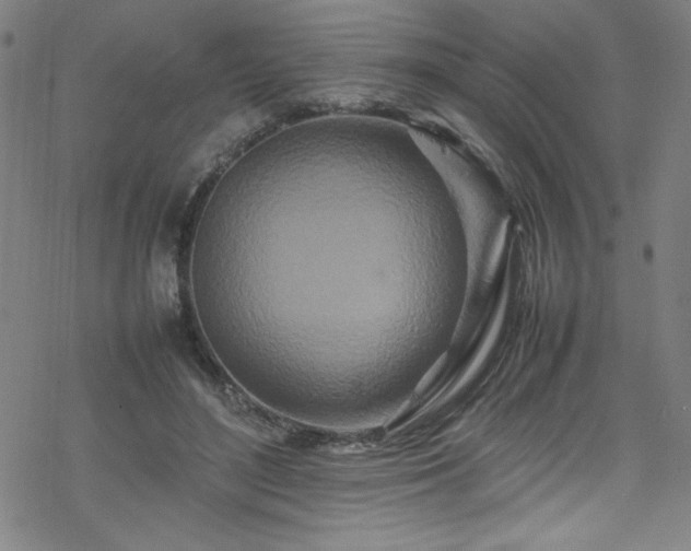 X0000070190500200606021101