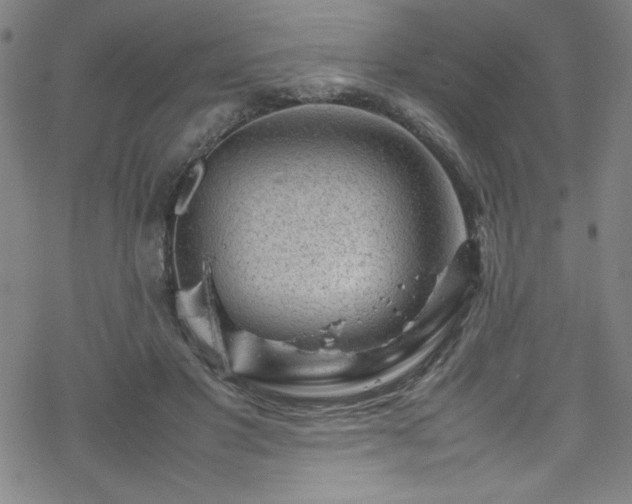 X0000070190501200606021101