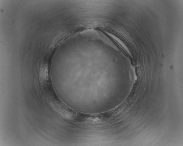 X0000070190502200606021101