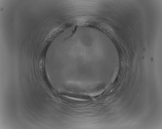 X0000070190503200606021101