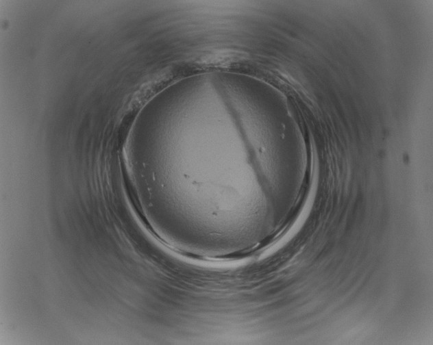 X0000070190504200606021101