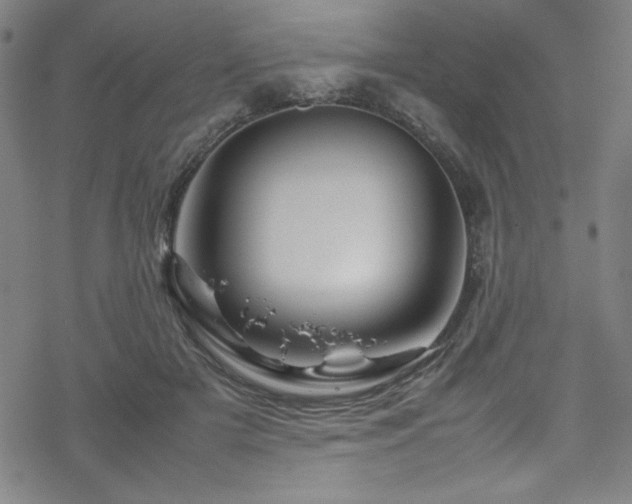 X0000070190505200606021101