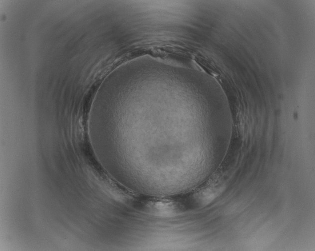 X0000070190506200606021100