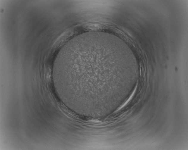 X0000070190507200606021100