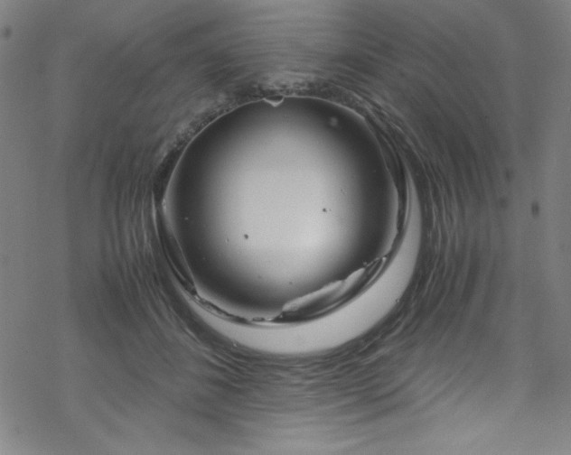 X0000070190508200606021100