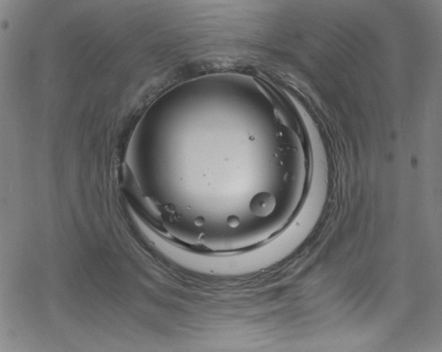 X0000070190509200606021100