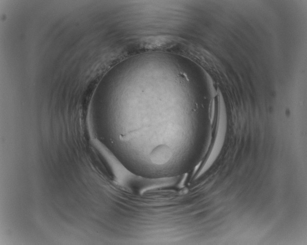 X0000070190510200606021100