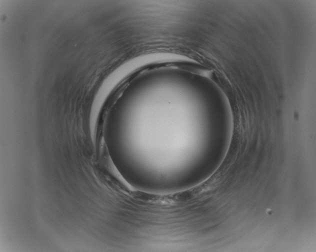 X0000070190512200606021100