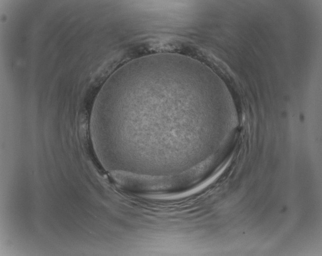 X0000070190513200606021100