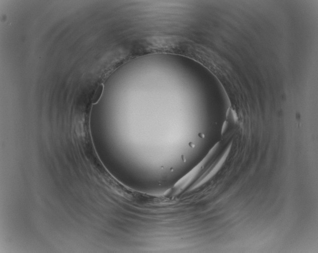 X0000070190514200606021100