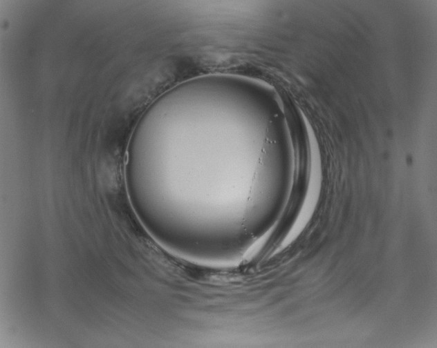 X0000070190515200606021100