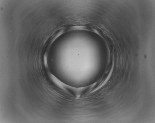 X0000070190516200606021100