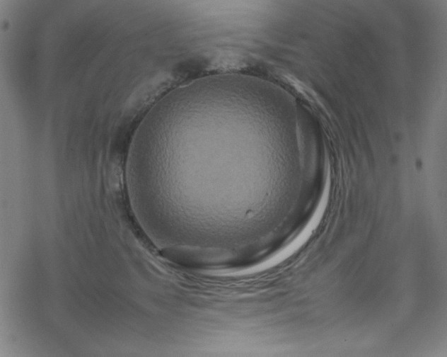 X0000070190517200606021100