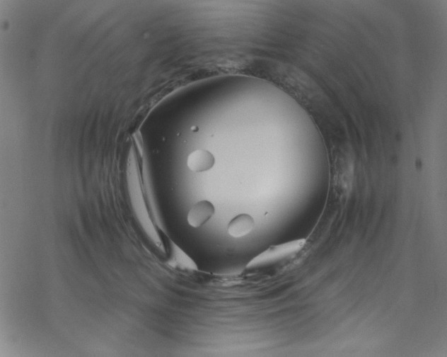 X0000070190518200606021100