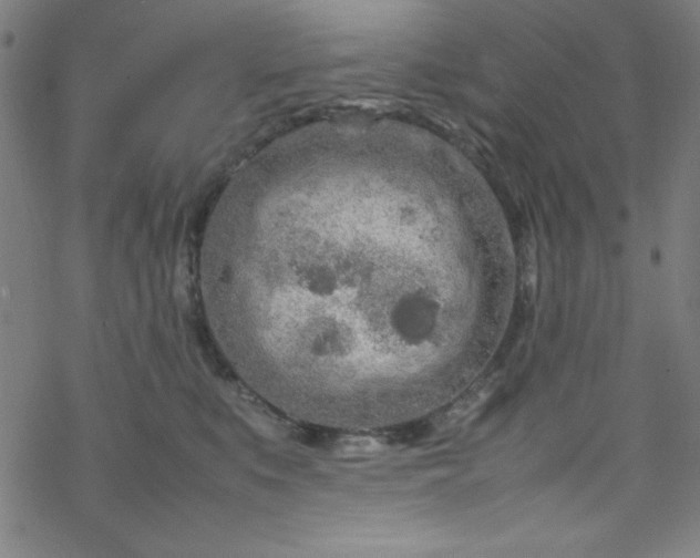 X0000070190519200606021100