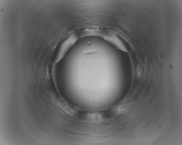 X0000070190520200606021100