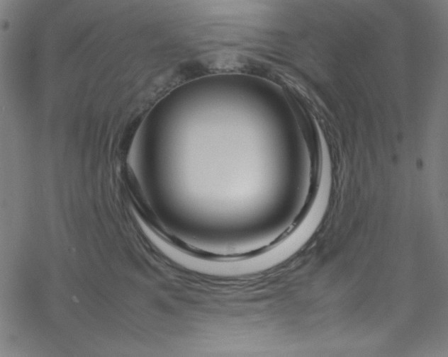 X0000070190521200606021100