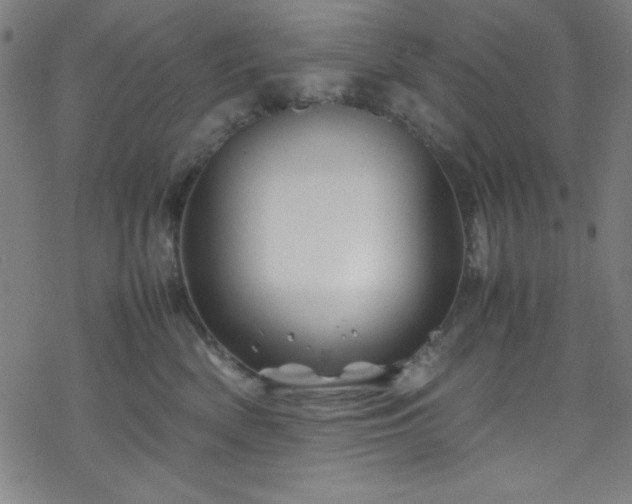 X0000070190522200606021100