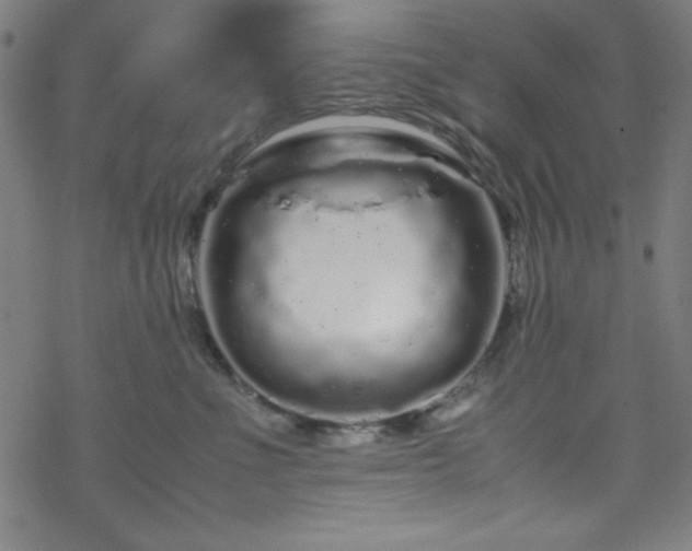 X0000070190523200606021100