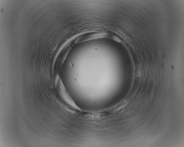 X0000070190524200606021100