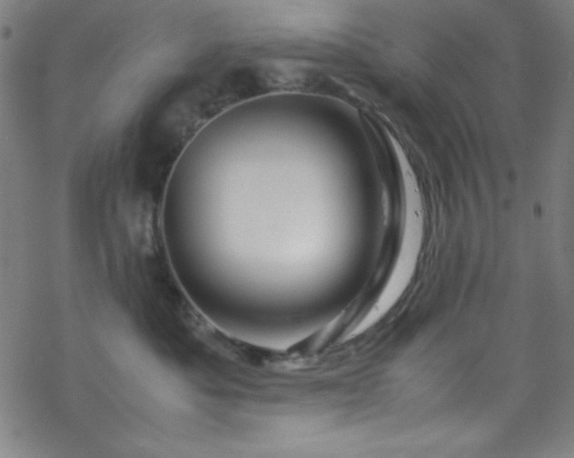 X0000070190525200606021100