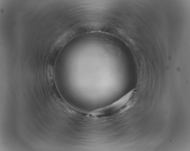 X0000070190528200606021100