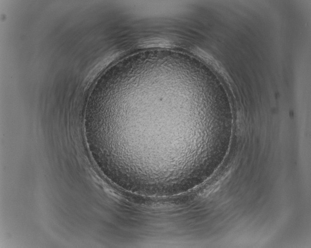 X0000070190529200606021059