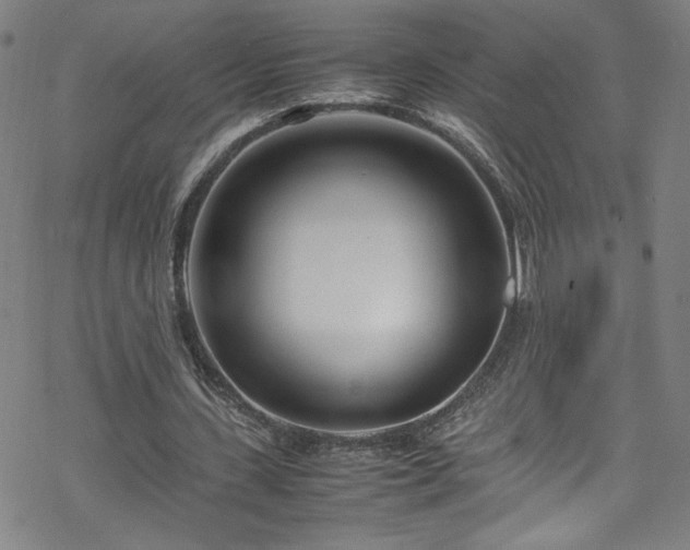 X0000070190531200606021059