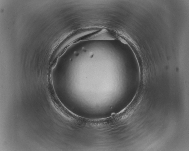 X0000070190533200606021059