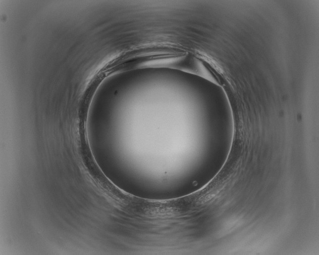 X0000070190535200606021059