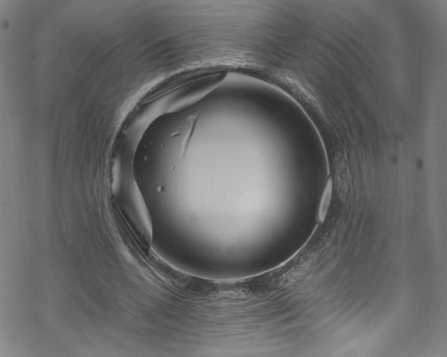 X0000070190536200606021059