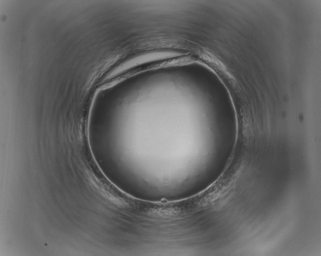 X0000070190537200606021059