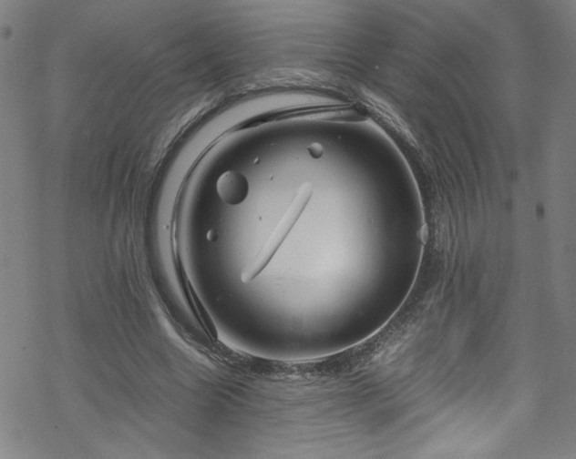 X0000070190538200606021100