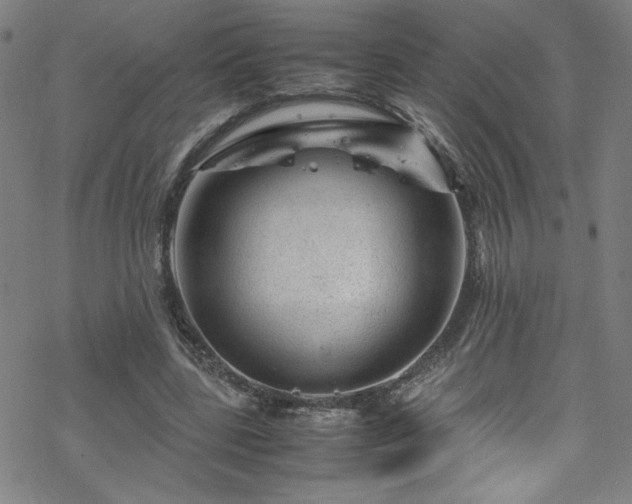 X0000070190539200606021100