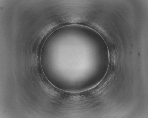 X0000070190540200606021100