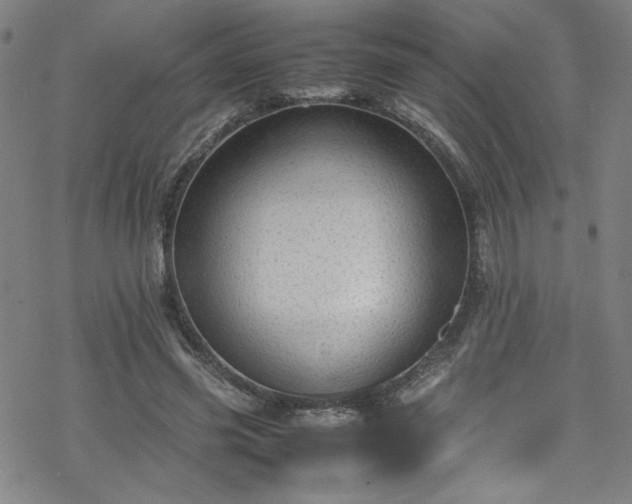 X0000070190541200606021100