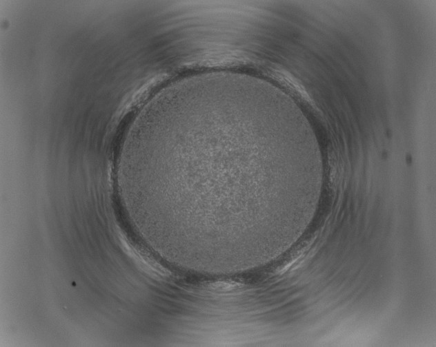 X0000070190542200606021100