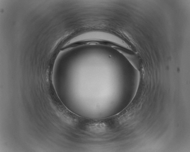 X0000070190543200606021100