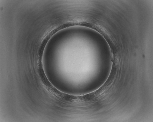 X0000070190544200606021100