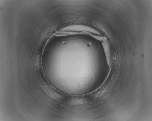 X0000070190545200606021100