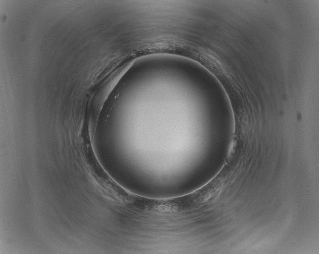 X0000070190546200606021100