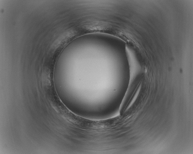 X0000070190547200606021100