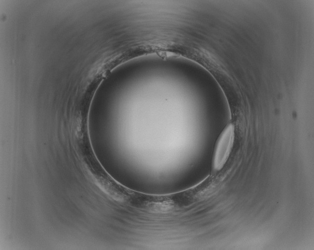 X0000070190548200606021100