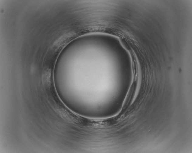 X0000070190550200606021100