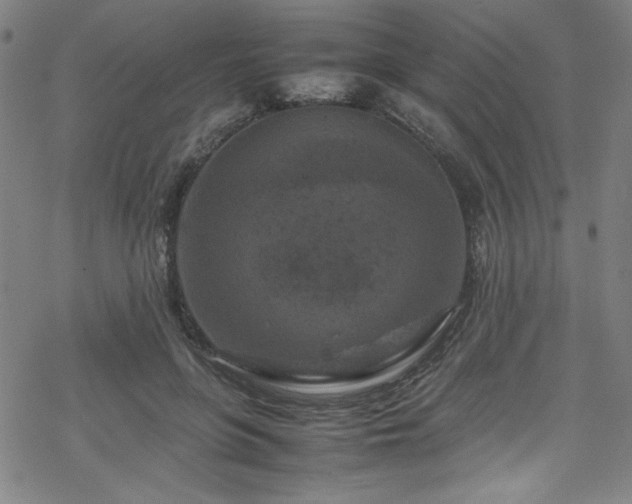 X0000070190551200606021100