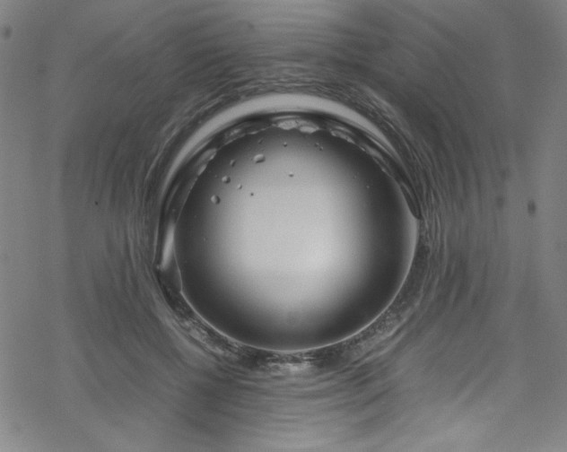 X0000070190552200606021100