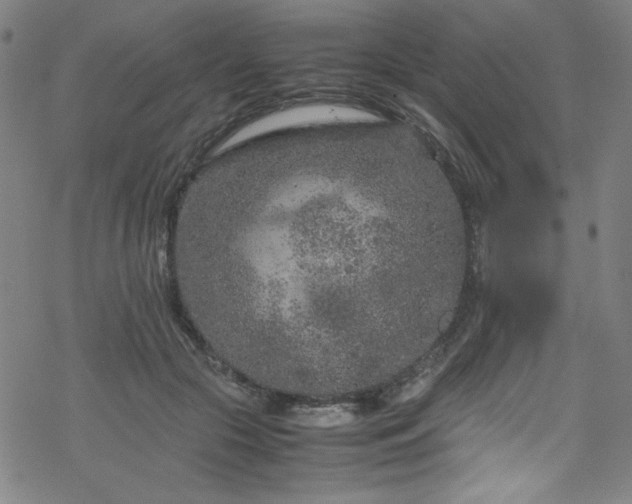 X0000070190553200606021100