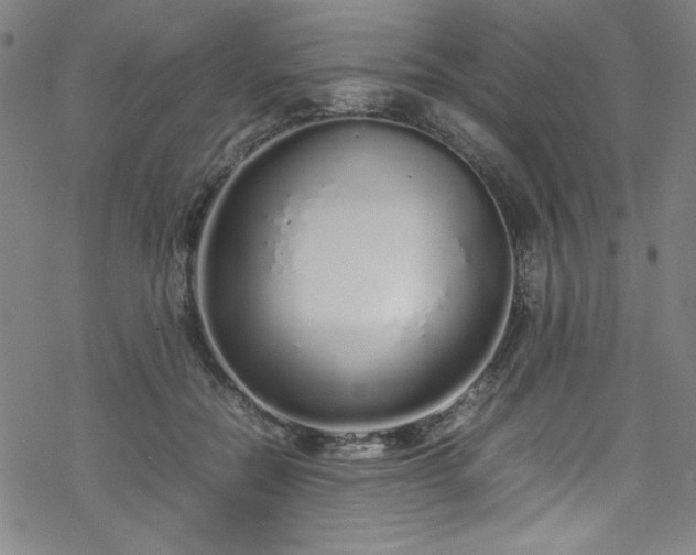 X0000070190554200606021100