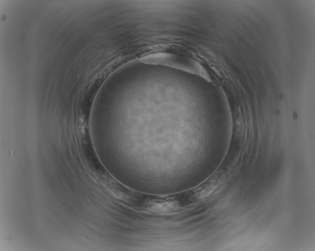 X0000070190555200606021100