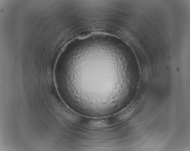 X0000070190557200606021100